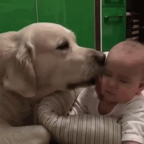 Welcome Luke – To A Social World
