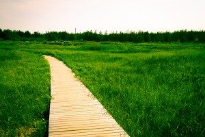 Content Marketing That Converts