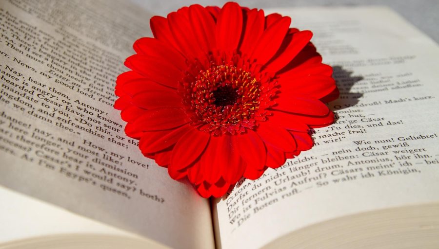 How Great Brand Stories Connect You with Your Customers