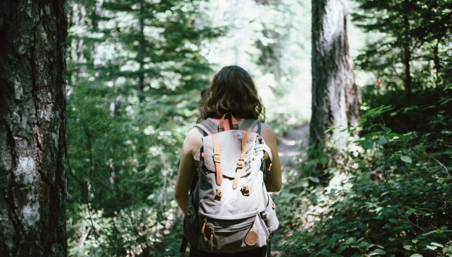 How Content Drives the Customer Journey