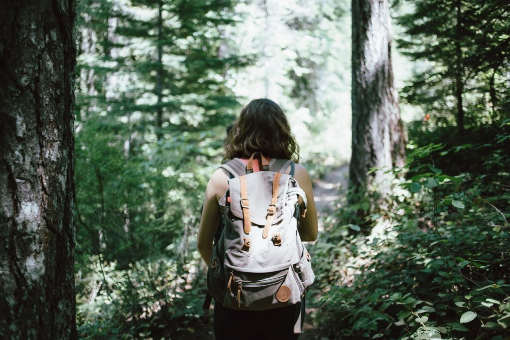 How Content Drives the Customer Journey