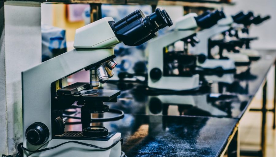Say Something New: 10 Ways to Justify Original Research