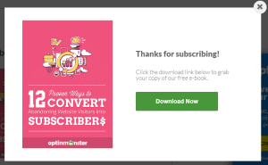 E-book lead magnet example